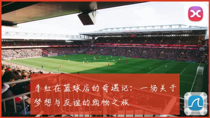 李红在篮球店的奇遇记：一场关于梦想与友谊的购物之旅