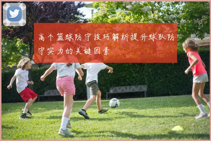 高个篮球防守技巧解析提升球队防守实力的关键因素