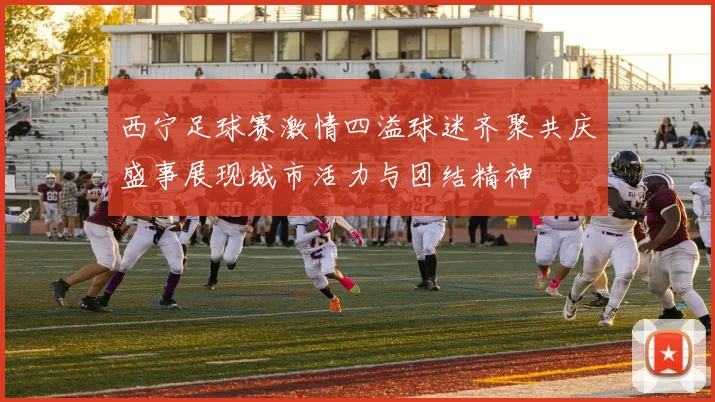 西宁足球赛激情四溢球迷齐聚共庆盛事展现城市活力与团结精神