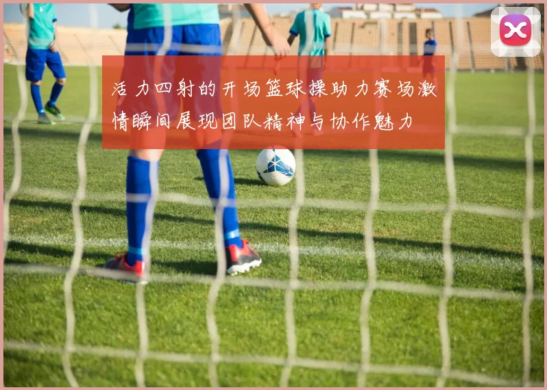 活力四射的开场篮球操助力赛场激情瞬间展现团队精神与协作魅力